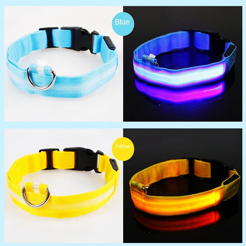 USB Rechargeable LED Pet Collar – Adjustable & Glowing