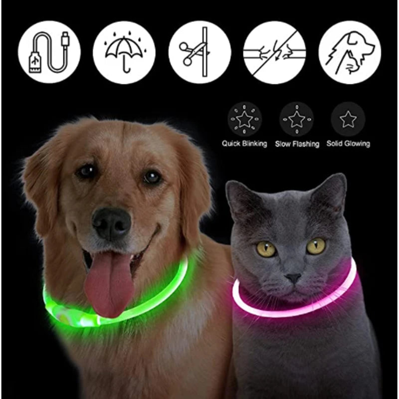USB Rechargeable LED Pet Collar – Adjustable & Glowing