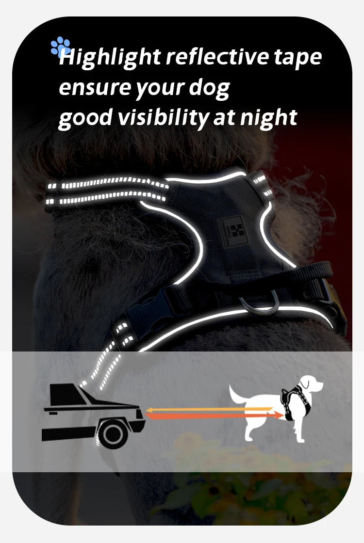 Personalized No-Pull Reflective Padded Dog Harness
