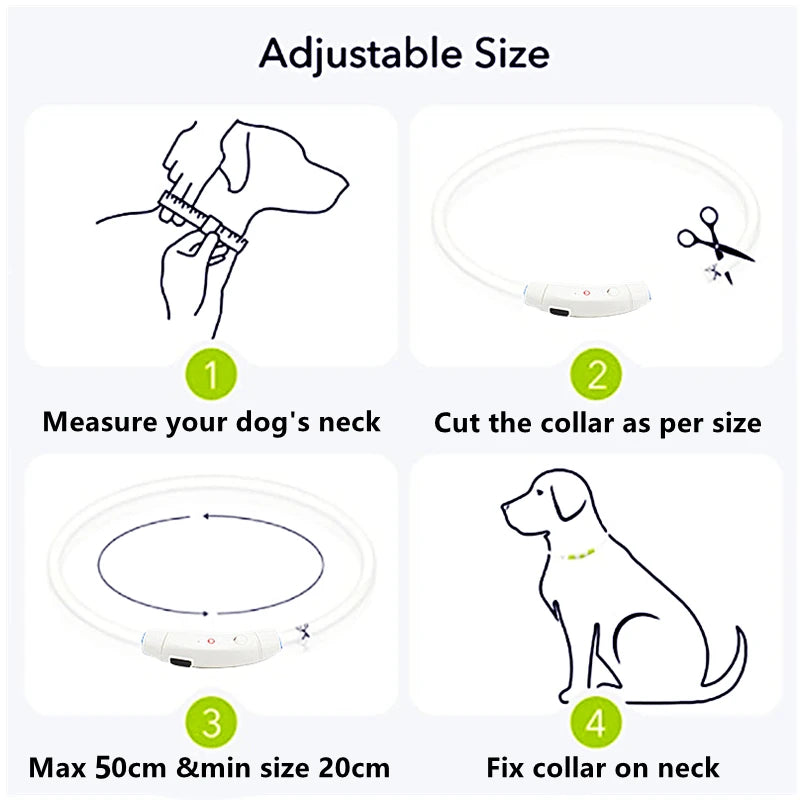 USB Rechargeable LED Pet Collar – Adjustable & Glowing