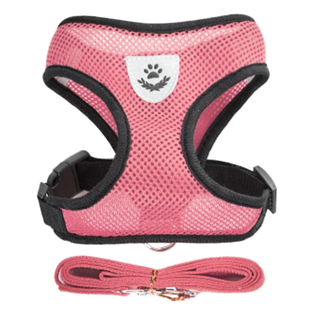 Adjustable Small Dog & Cat Harness and Leash Set