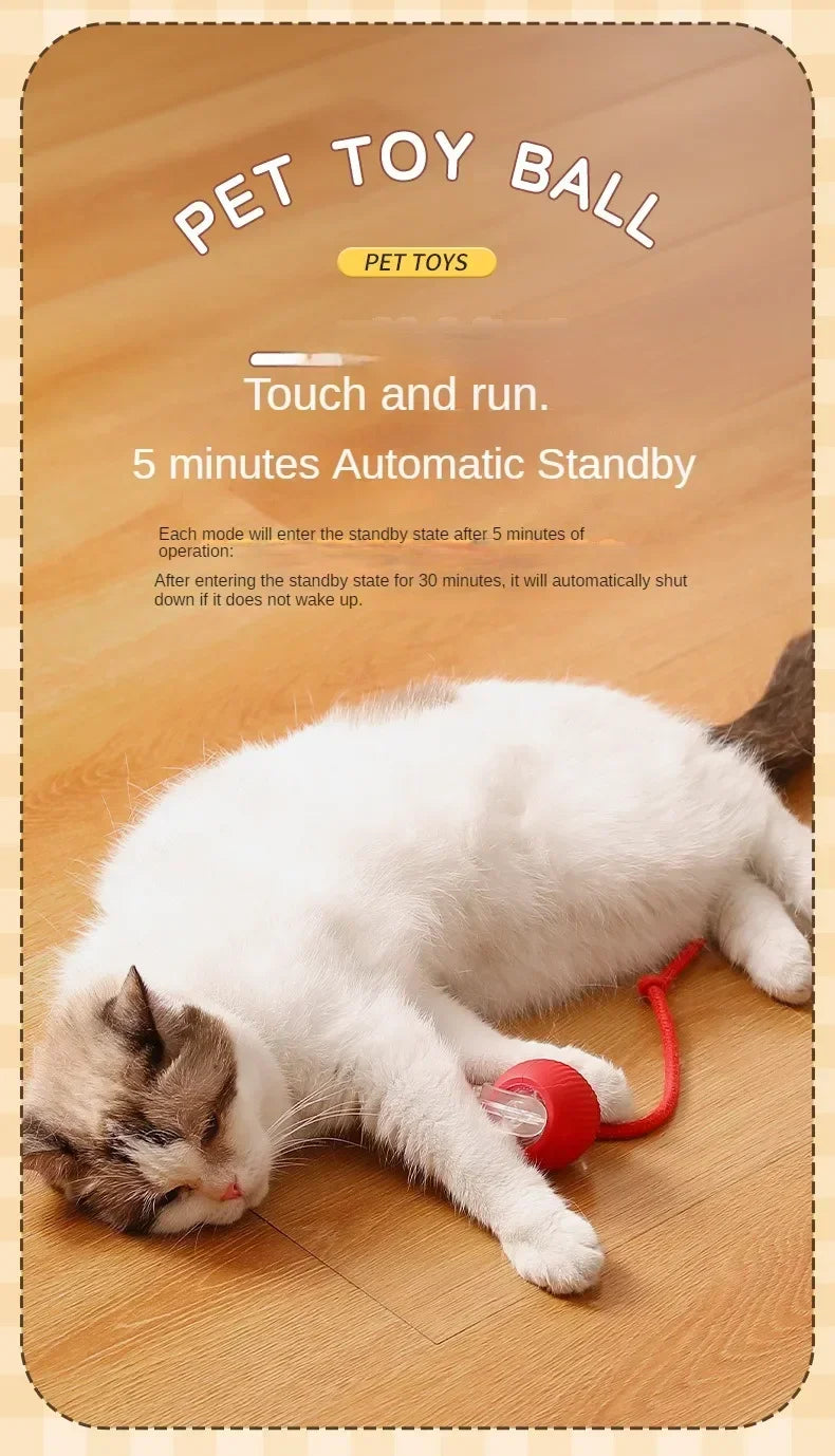 Automatic Rolling Cat Toy Ball – Self-Moving Electric Play Ball for Kittens