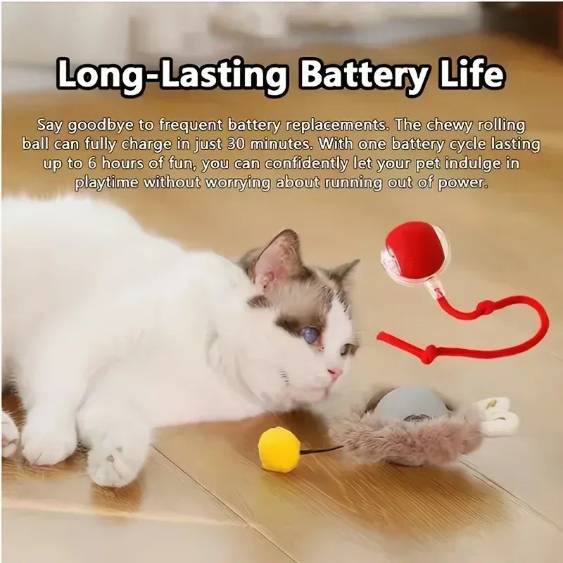 Rechargeable Interactive Rolling Ball Toy for Cats and Dogs