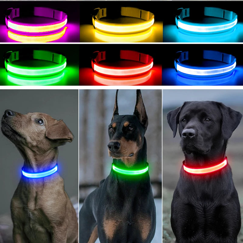 USB Rechargeable LED Pet Collar – Adjustable & Glowing