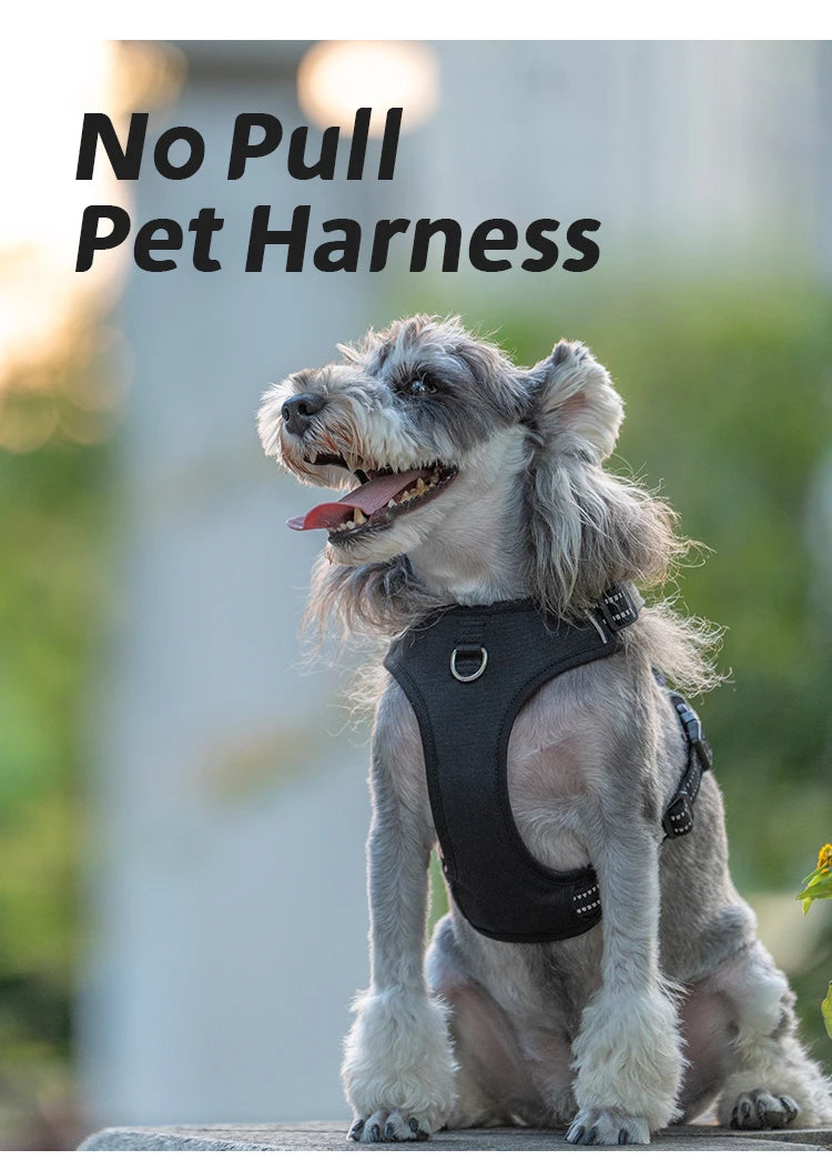 Personalized No-Pull Reflective Padded Dog Harness