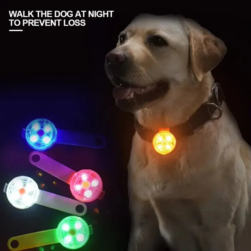 LED Safety Dog Collar – USB Rechargeable & Weatherproof