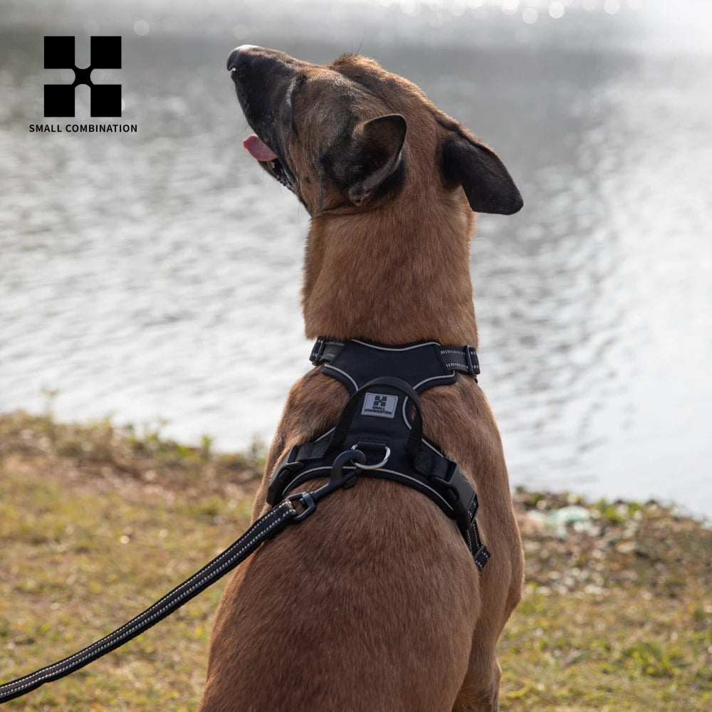 Personalized No-Pull Reflective Padded Dog Harness
