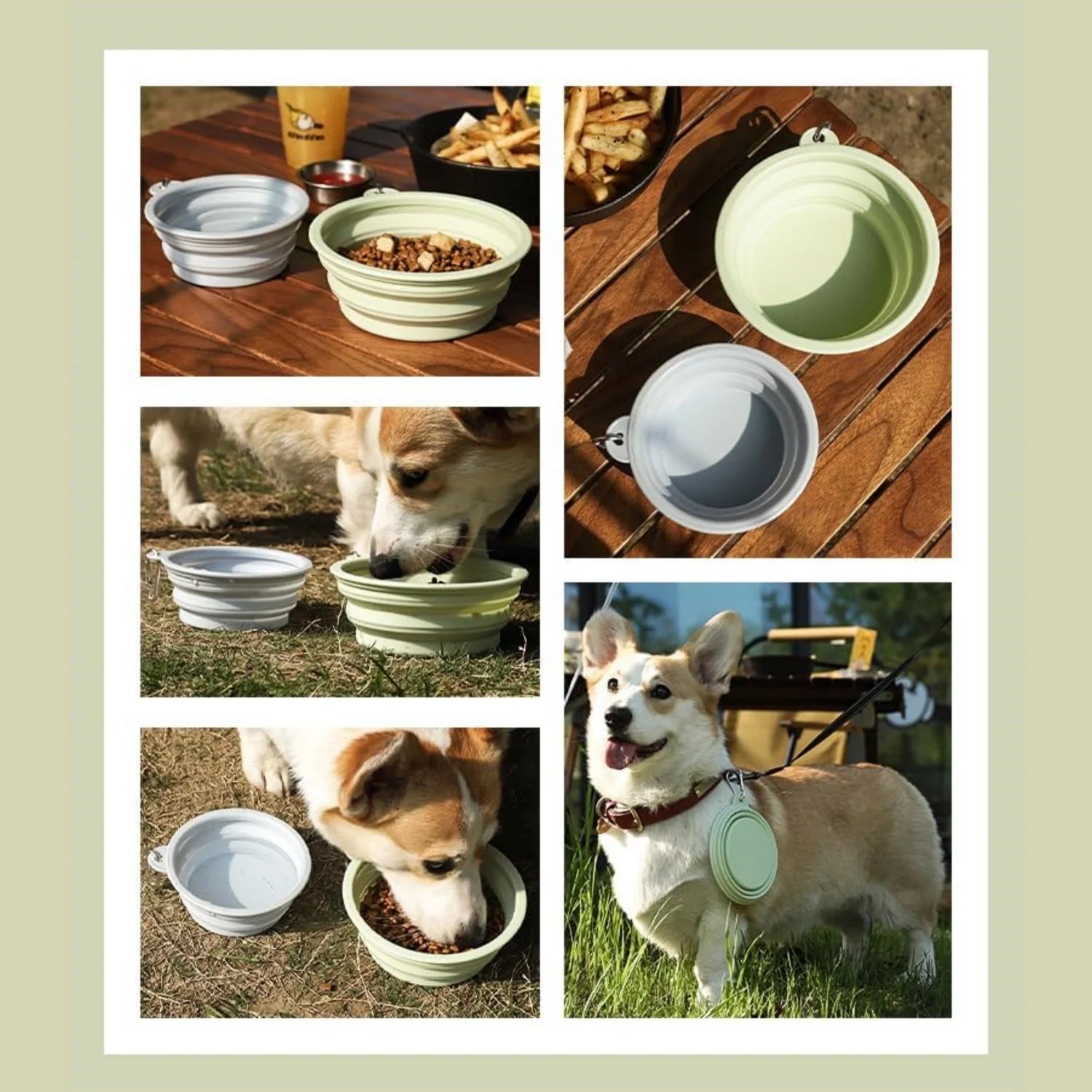 2PCS Collapsible Silicone Pet Bowls – Portable Folding Food & Water Dishes with Carabiners
