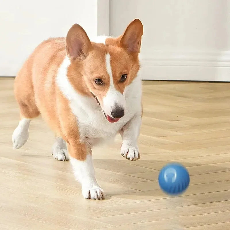Smart Interactive Dog Toy Ball – USB Rechargeable & Auto-Moving