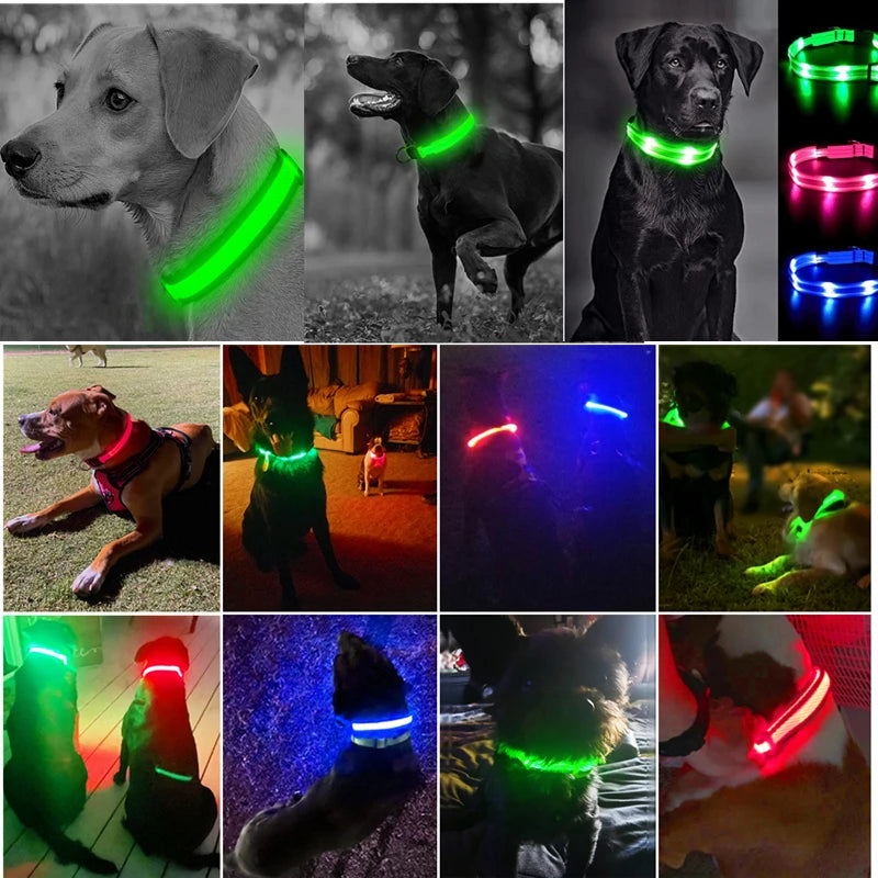 USB Rechargeable LED Pet Collar – Adjustable & Glowing