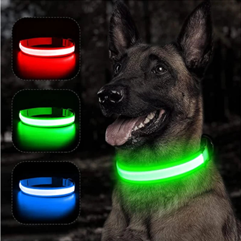 USB Rechargeable LED Pet Collar – Adjustable & Glowing