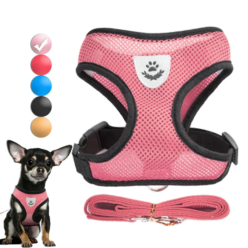 Adjustable Small Dog & Cat Harness and Leash Set