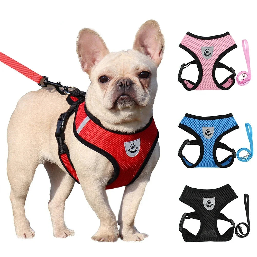 Breathable Mesh Pet Harness & Leash Set – Reflective & Adjustable
