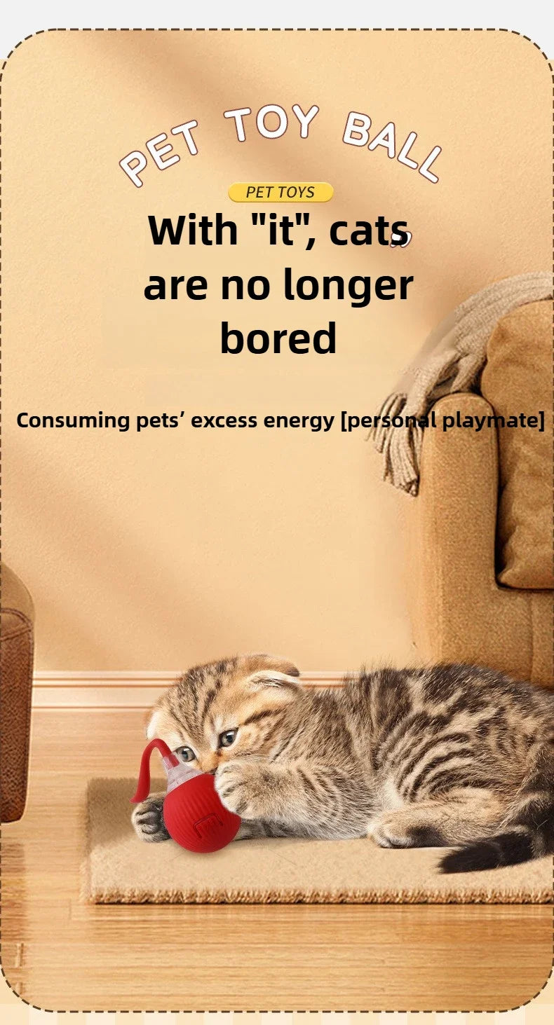 Automatic Rolling Cat Toy Ball – Self-Moving Electric Play Ball for Kittens