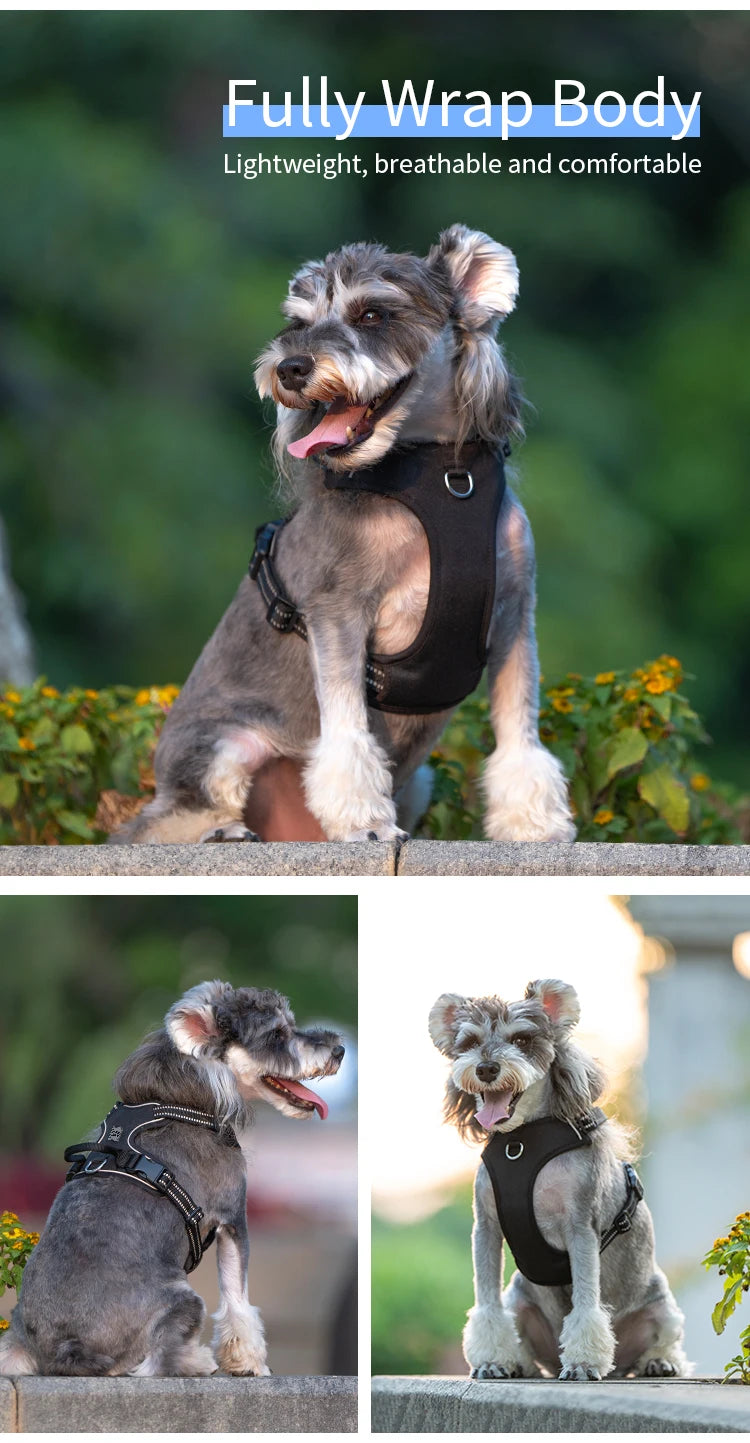 Personalized No-Pull Reflective Padded Dog Harness