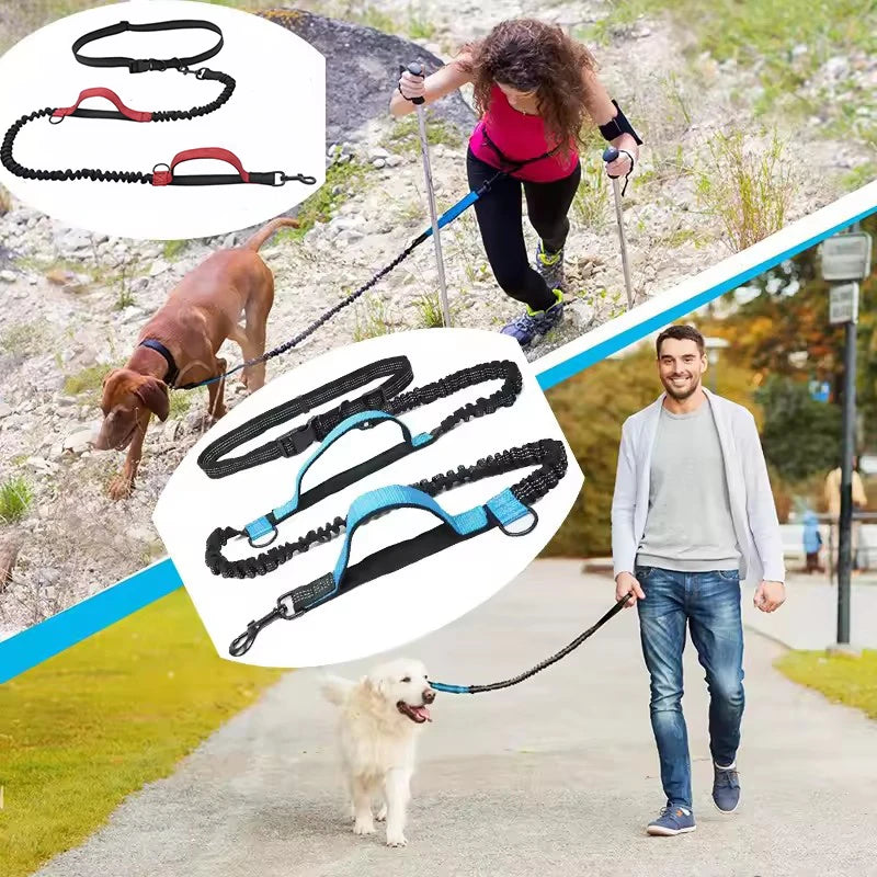 Hands-Free Reflective Dual-Handle Dog Leash