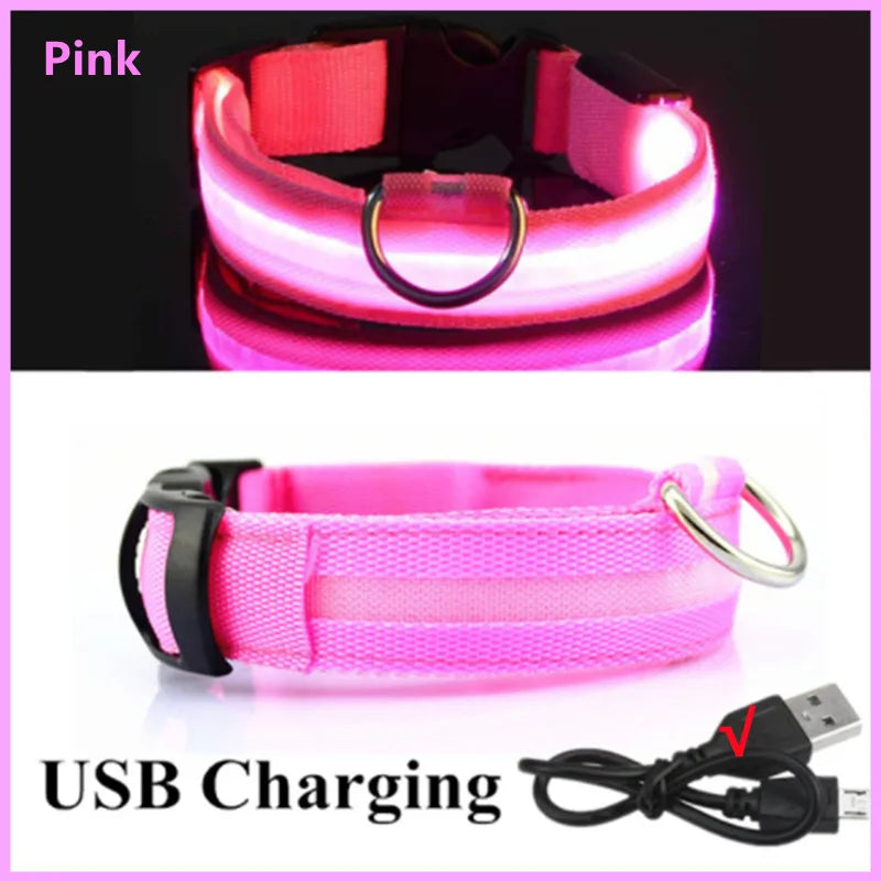 USB Rechargeable LED Pet Collar – Adjustable & Glowing
