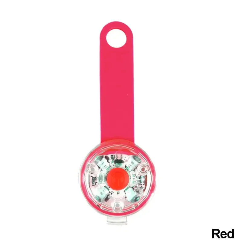 LED Safety Dog Collar – USB Rechargeable & Weatherproof