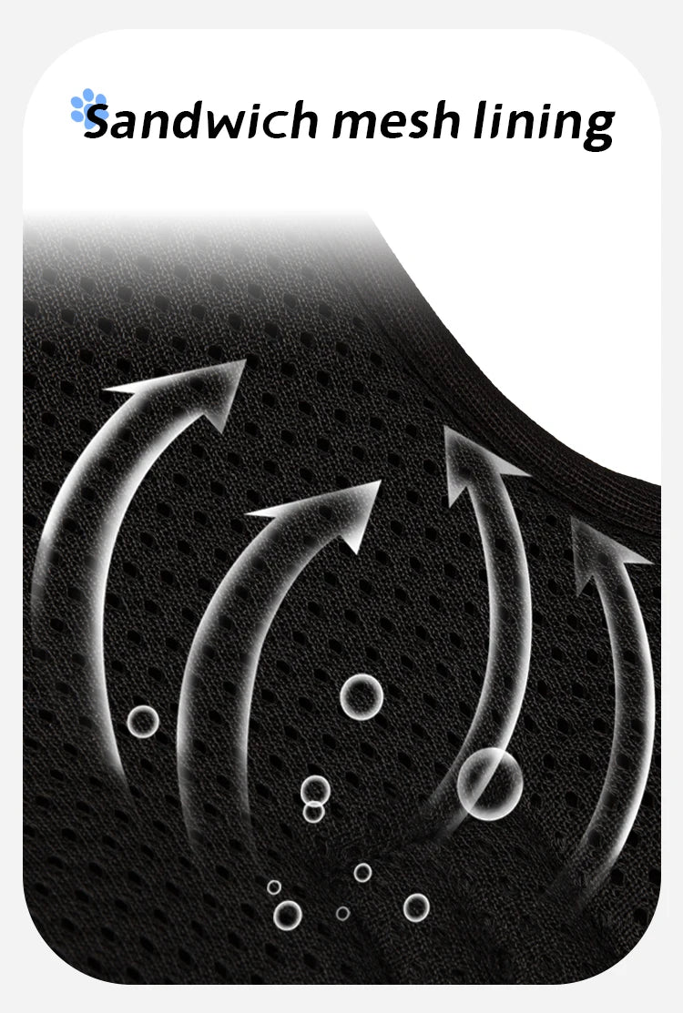 Personalized No-Pull Reflective Padded Dog Harness