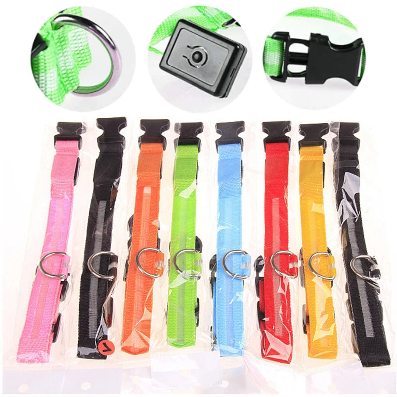 USB Rechargeable LED Pet Collar – Adjustable & Glowing