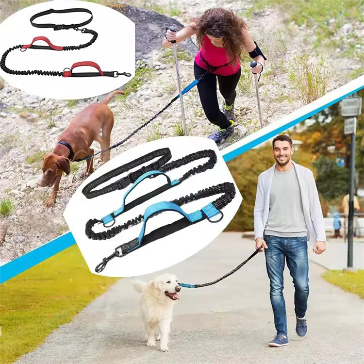 Hands-Free Reflective Dual-Handle Dog Leash
