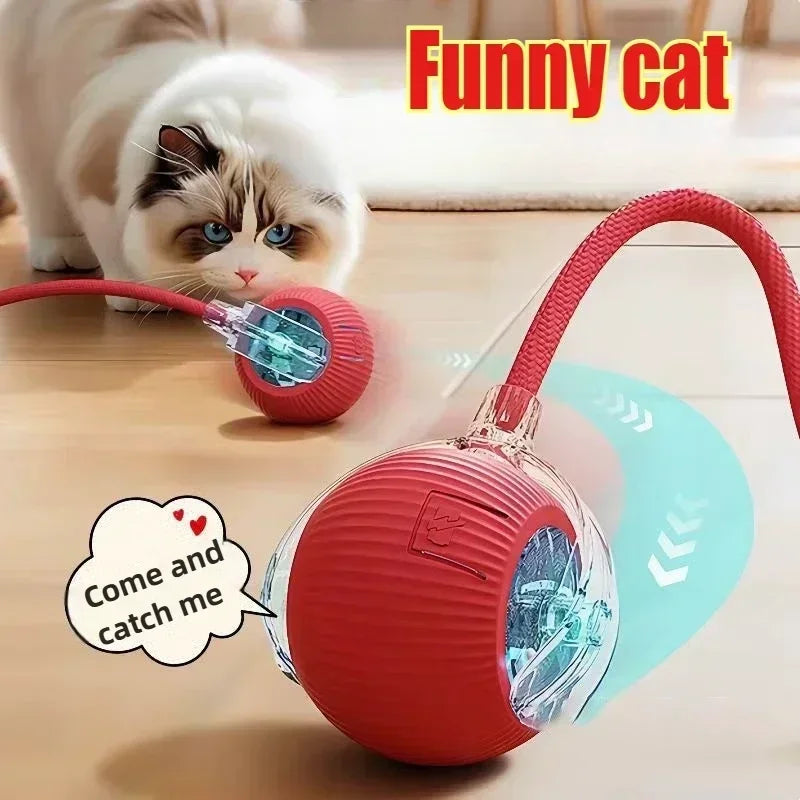 Rechargeable Interactive Rolling Ball Toy for Cats and Dogs