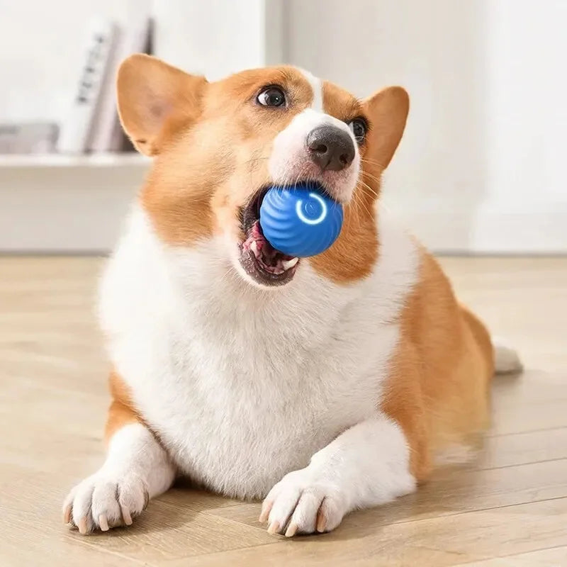 Smart Interactive Dog Toy Ball – USB Rechargeable & Auto-Moving