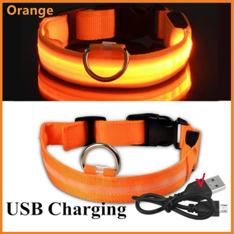 USB Rechargeable LED Pet Collar – Adjustable & Glowing