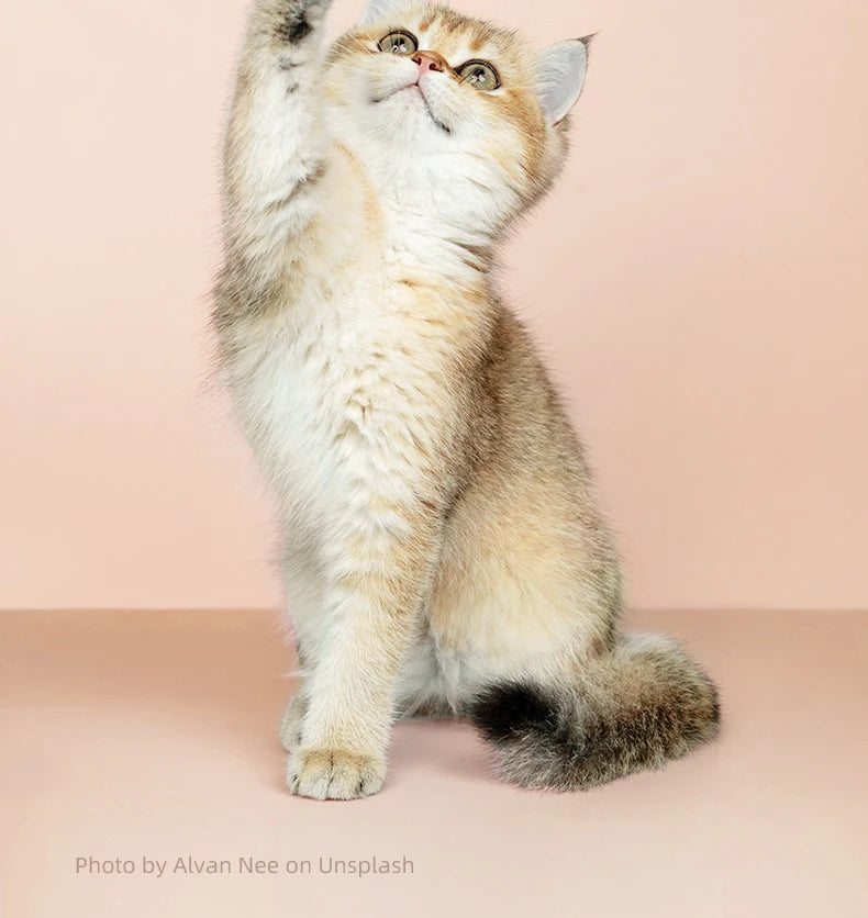 LED Pet Grooming Trimmer – Low Noise & Waterproof