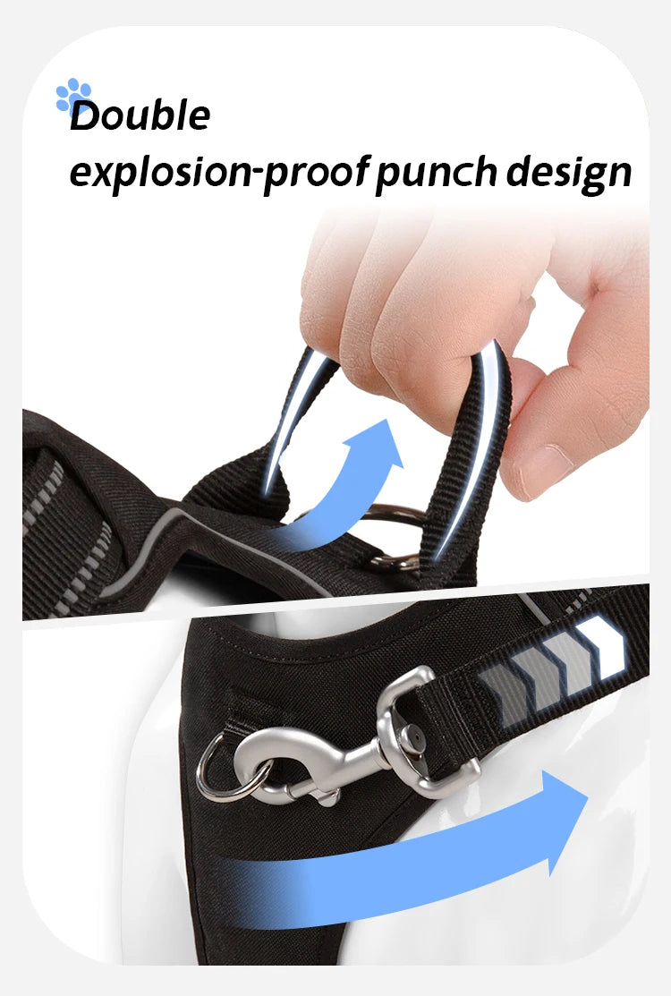 Personalized No-Pull Reflective Padded Dog Harness