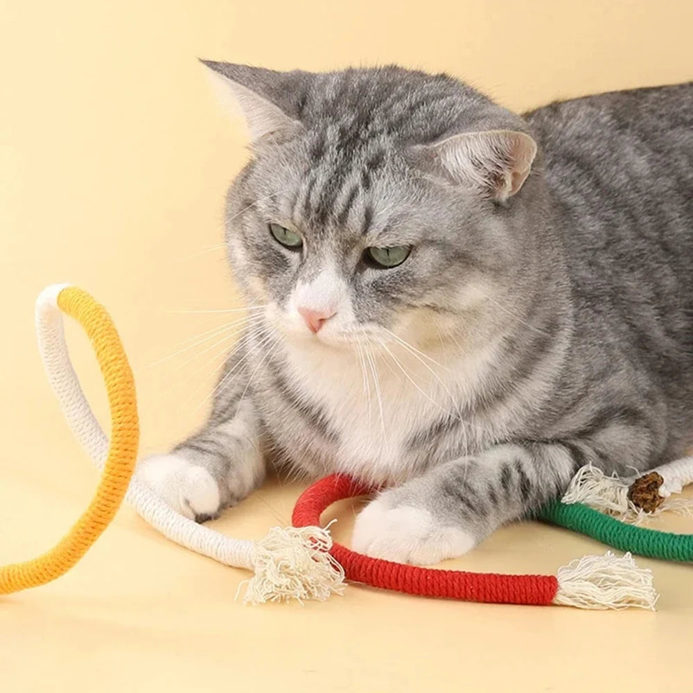 Cat Chew Rope Toy with Catnip – Safe Teeth Cleaning Toy