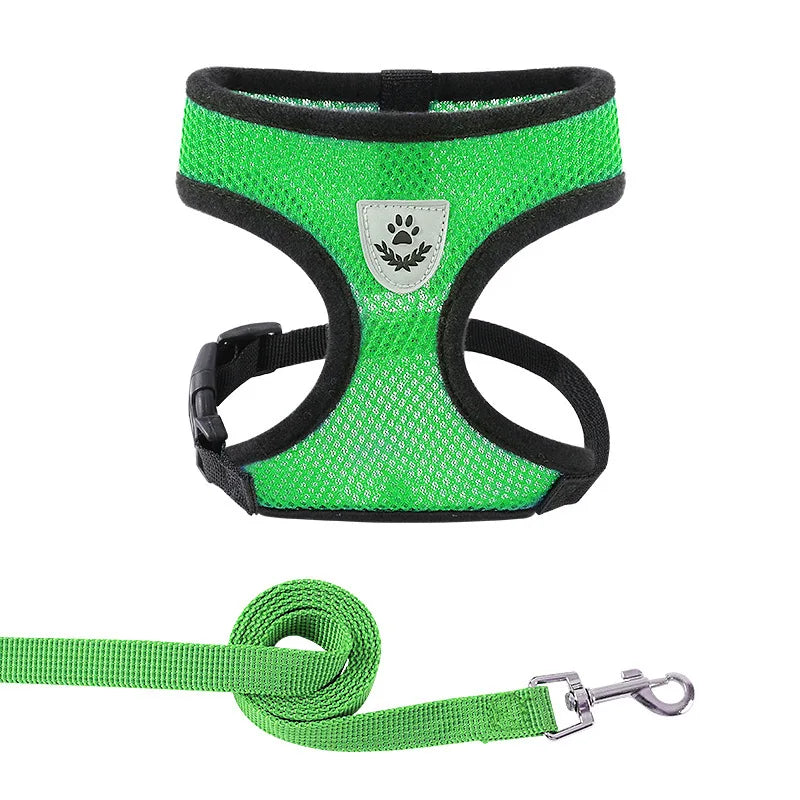 Breathable Mesh Pet Harness & Leash Set – Reflective & Adjustable