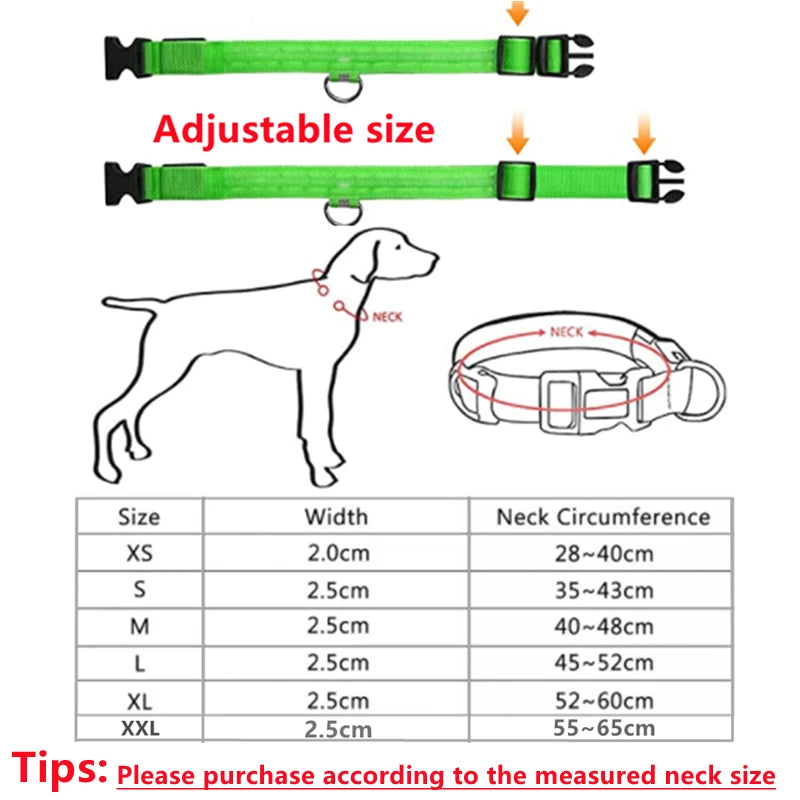 USB Rechargeable LED Pet Collar – Adjustable & Glowing
