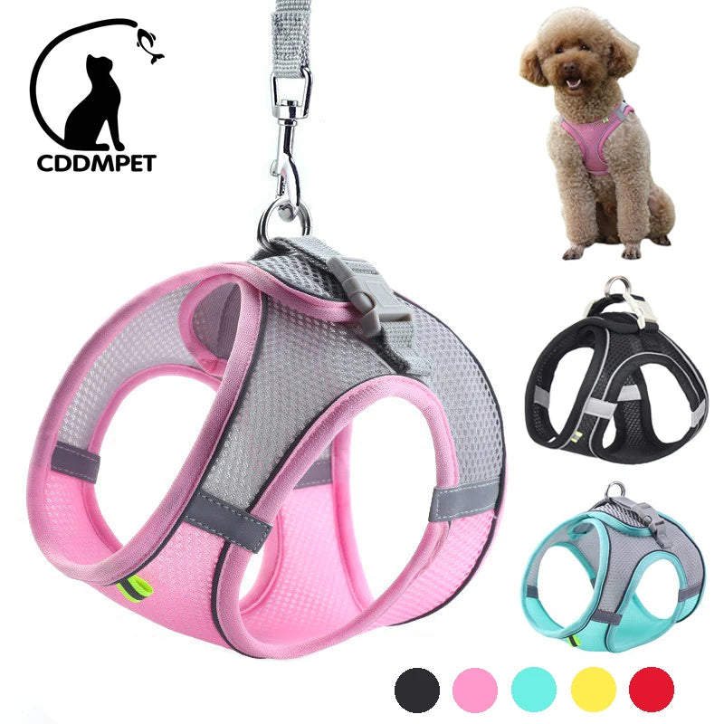 Adjustable Adjustable Dog Harness & Leash Set – For Small Dogs & Cats Set