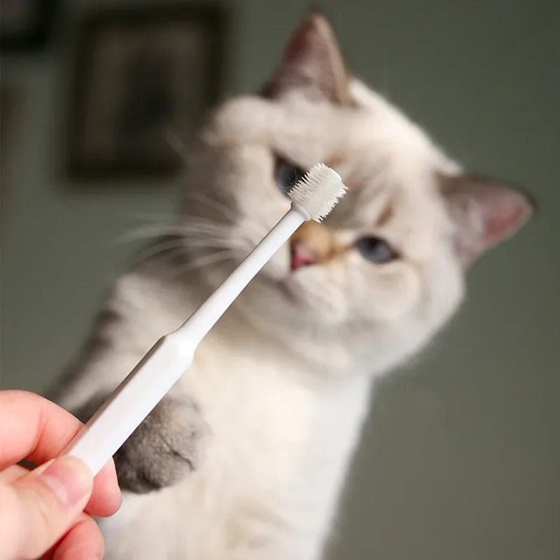 Soft Bristle Cat Toothbrush – Gentle Teeth Cleaning Brush for Cats
