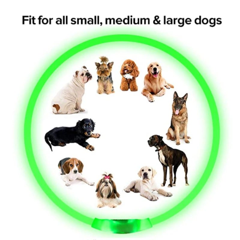 USB Rechargeable LED Pet Collar – Adjustable & Glowing