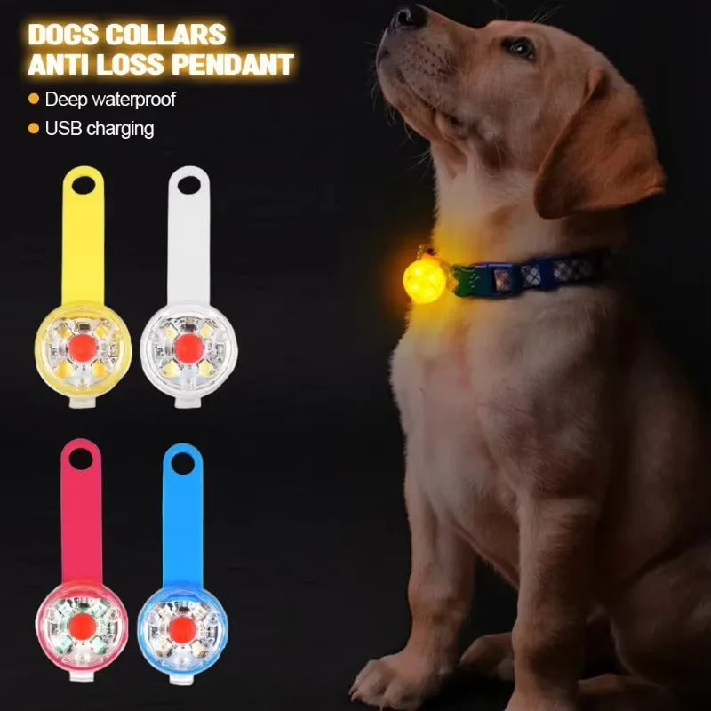 LED Safety Dog Collar – USB Rechargeable & Weatherproof