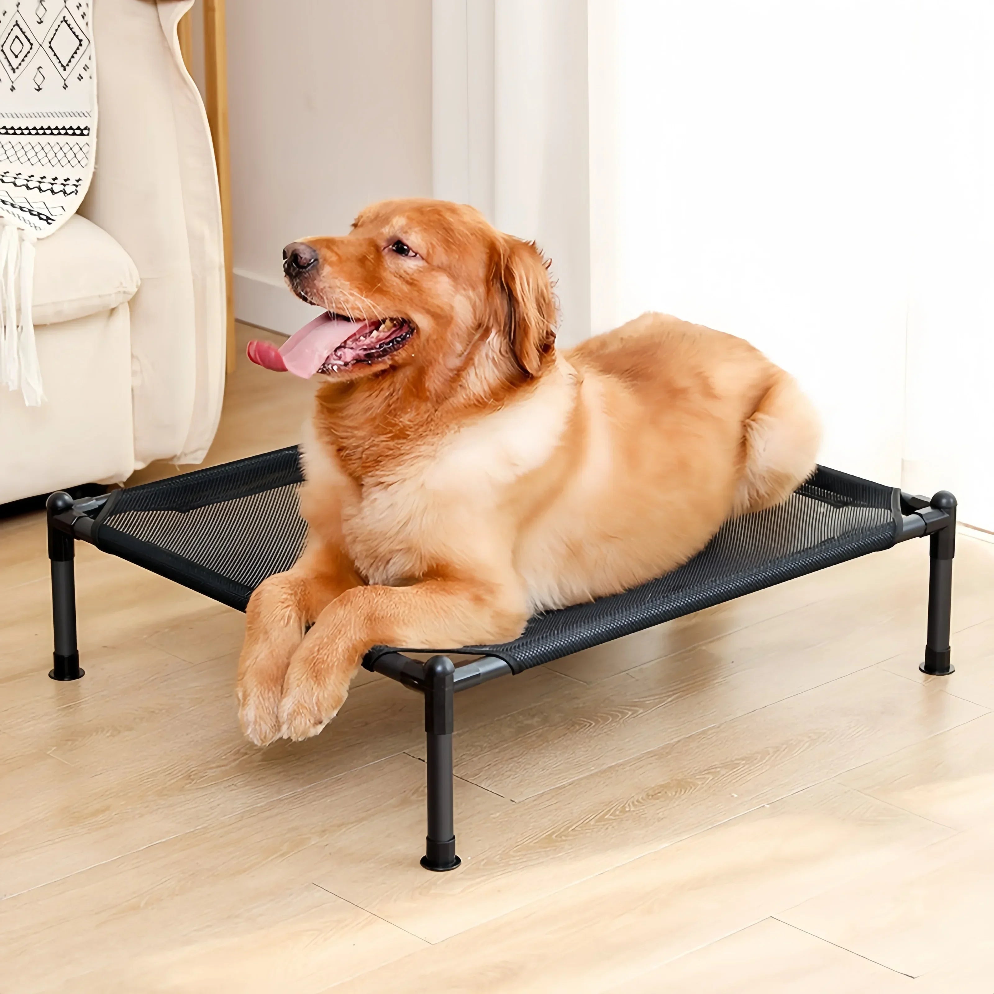 Elevated Folding Pet Bed – Portable, Washable Dog & Cat Camping Cot