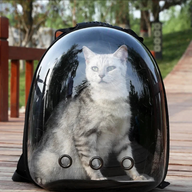 Transparent Cat Travel Backpack – Breathable Space Capsule Design