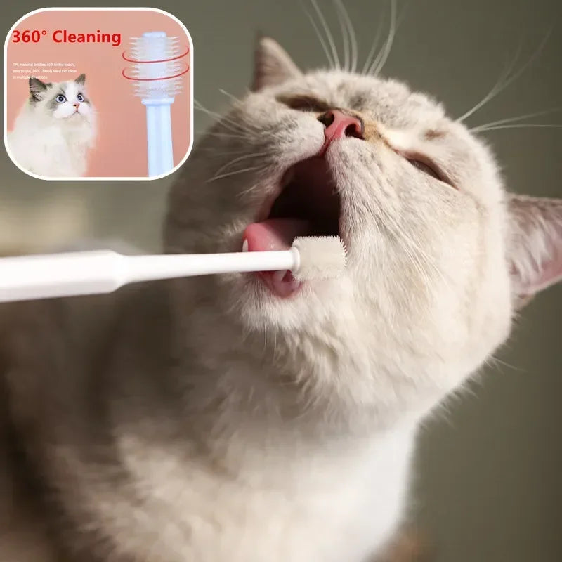 Soft Bristle Cat Toothbrush – Gentle Teeth Cleaning Brush for Cats