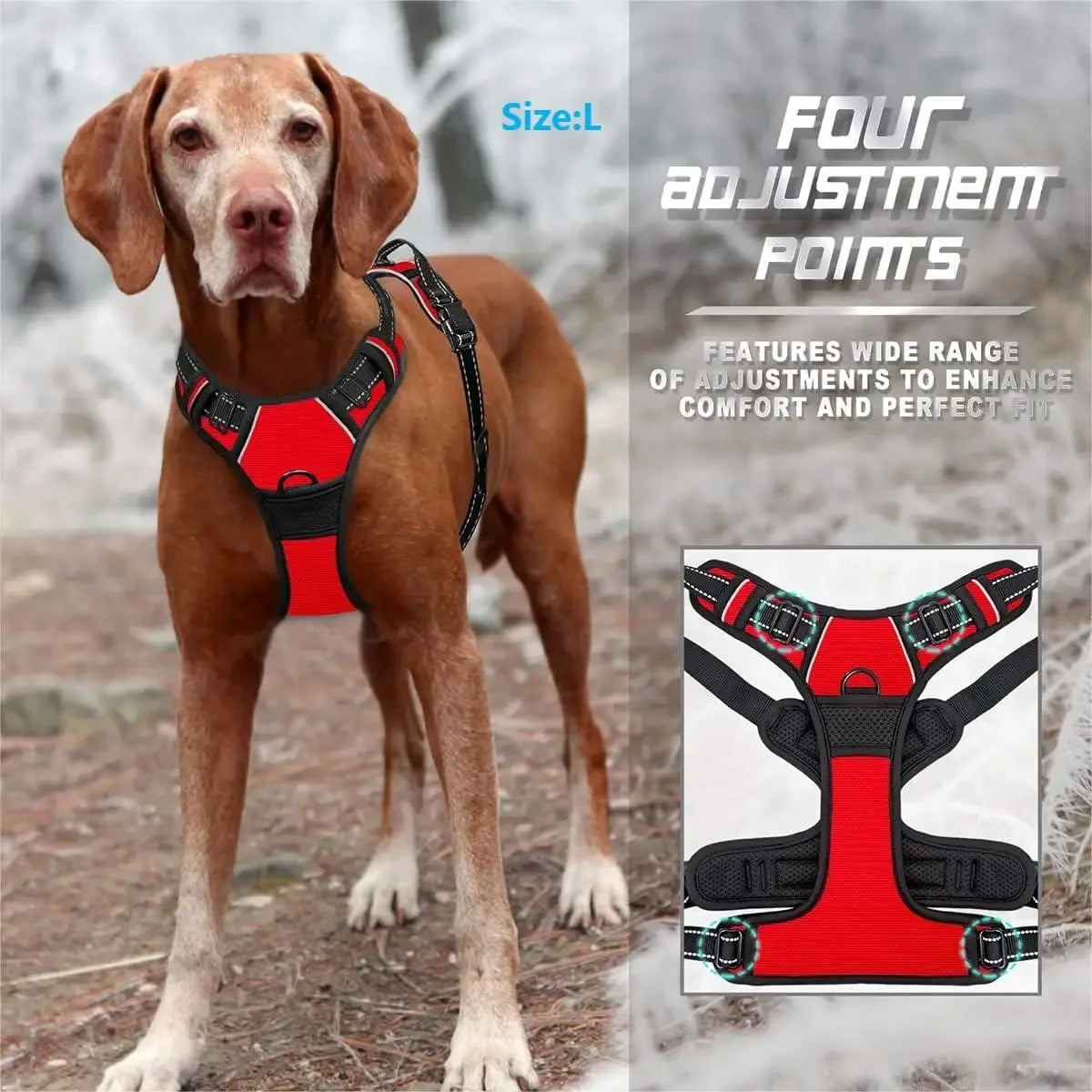 Dog Collar, Harness & Leash Set – Leather for Small & Medium Dogs