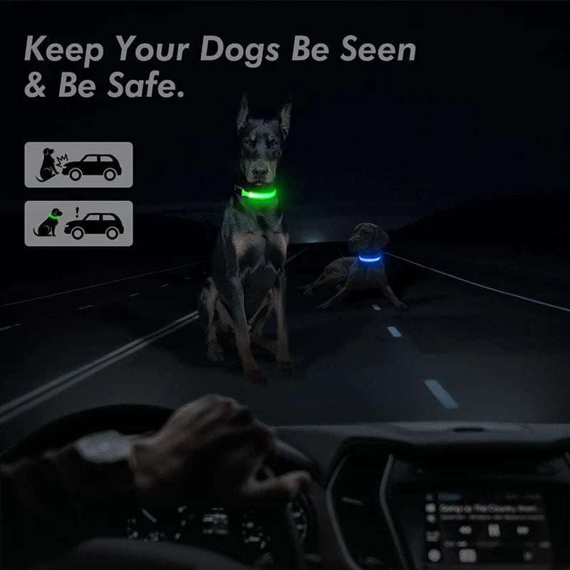 USB Rechargeable LED Pet Collar – Adjustable & Glowing