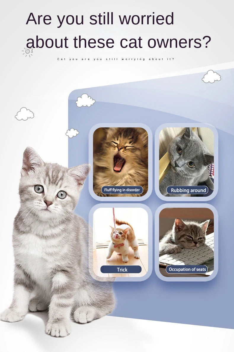 Cat Wall Corner Self-Grooming Brush with Bristles