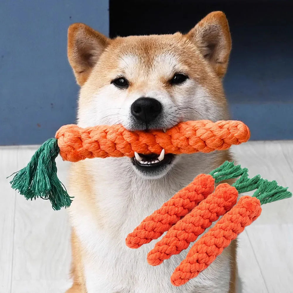 Durable Carrot Rope Dog Chew Toy – Teeth Cleaning & Molar Aid
